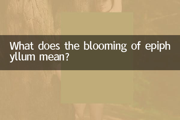 O que significa o florescimento do epiphyllum?