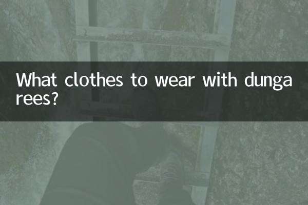 ダンガリーにはどんな服を着ますか？