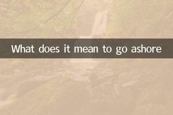 上岸是什麼意思