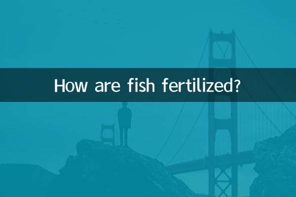 How are fish fertilized?