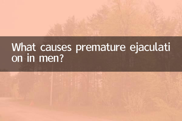 What causes premature ejaculation in men?