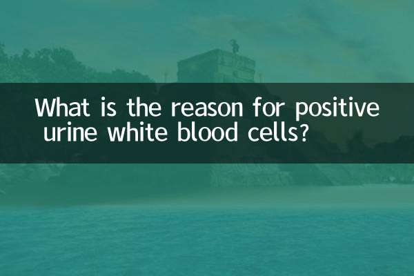 What is the reason for positive urine white blood cells?