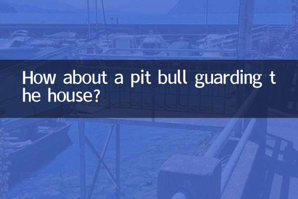 집을 지키는 핏불은 어떻습니까?