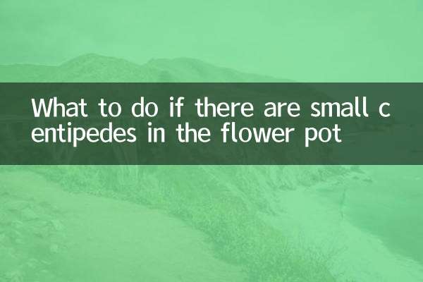 What to do if there are small centipedes in the flower pot