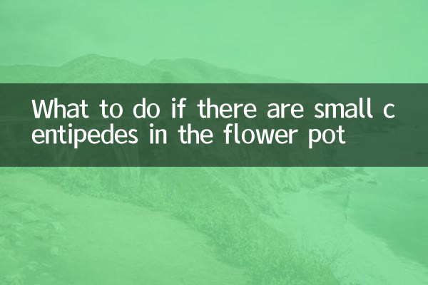 What to do if there are small centipedes in the flower pot