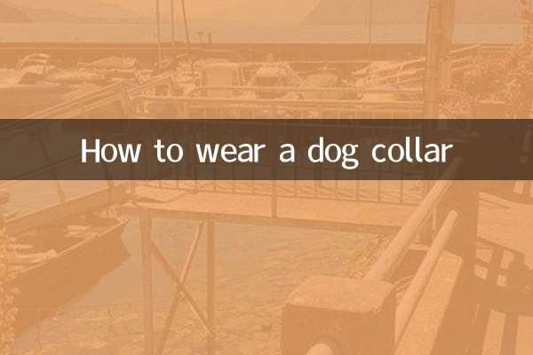Come indossare un collare per cani