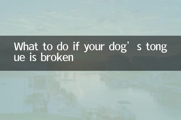 O que fazer se a língua do seu cachorro estiver quebrada