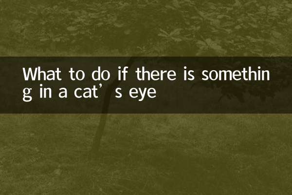 What to do if there is something in a cat’s eye