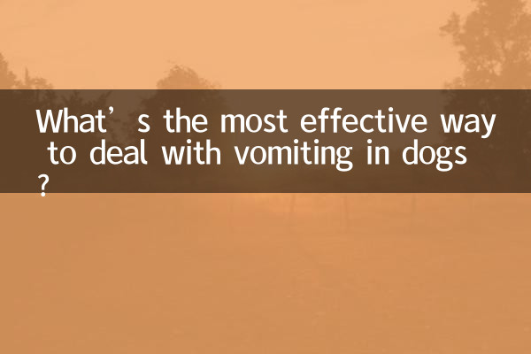 Qual è il modo più efficace per affrontare il vomito nei cani?