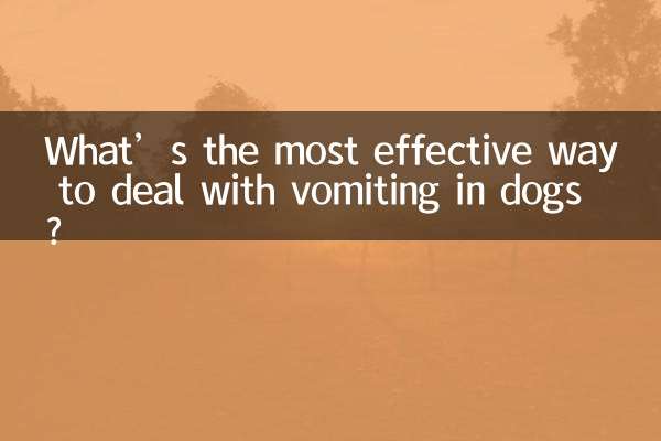 Quel est le moyen le plus efficace de traiter les vomissements chez le chien ?