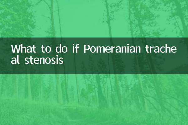 What to do if Pomeranian tracheal stenosis