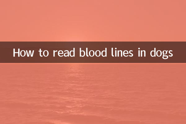 狗狗血线怎么看