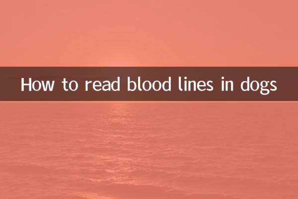 개의 혈통을 읽는 방법