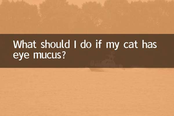 ¿Qué debo hacer si mi gato tiene mocos en los ojos?