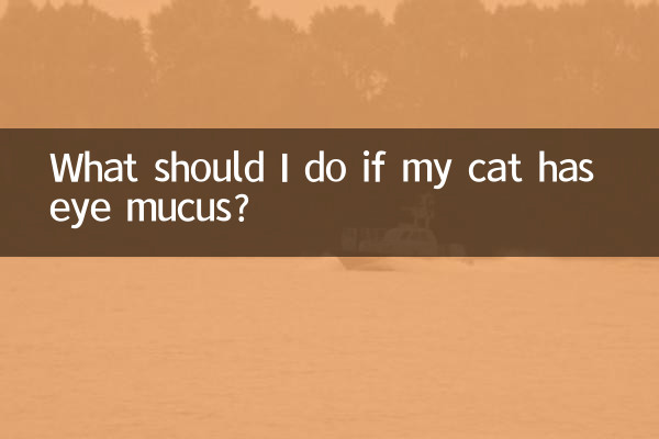 What should I do if my cat has eye mucus?