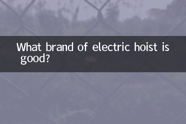 इलेक्ट्रिक होइस्ट का कौन सा ब्रांड अच्छा है?