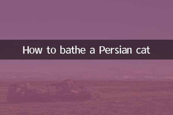 波斯貓怎麼洗澡
