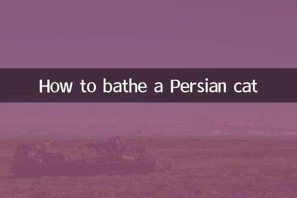 কিভাবে একটি পার্সিয়ান বিড়াল স্নান