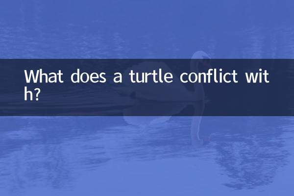 С чем конфликтует черепаха?