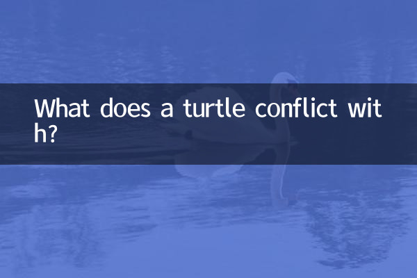 カメは何と衝突しますか?