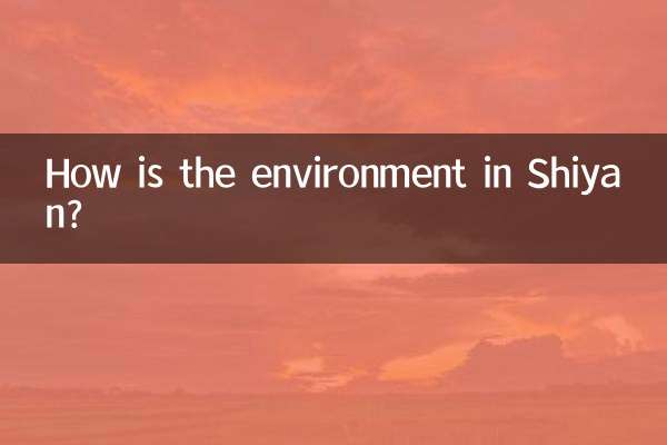 스옌의 환경은 어떤가요?