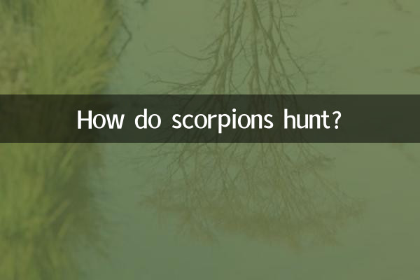 بچھو کس طرح شکار کرتے ہیں؟