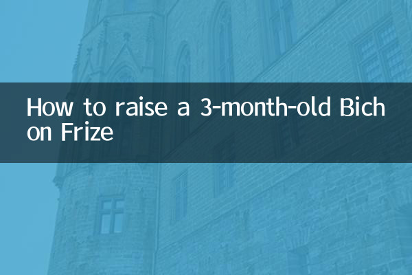 Как вырастить 3-месячного бишон фризе