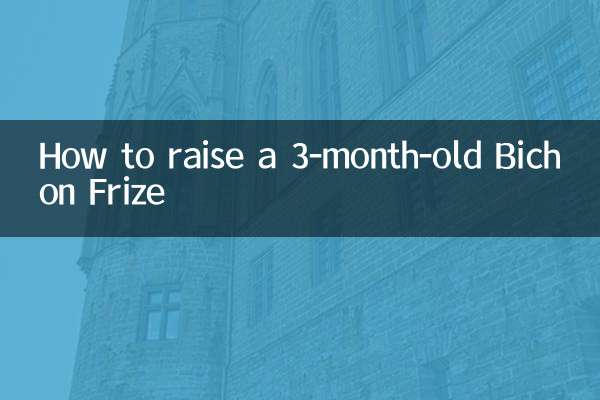 生後3ヶ月のビションフリーゼの育て方