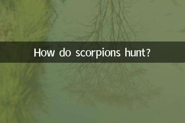 عقرب ها چگونه شکار می کنند؟