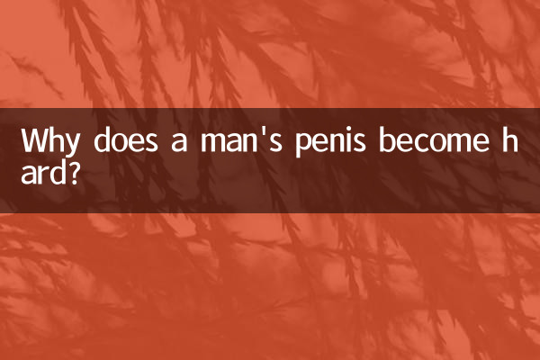 Почему пенис мужчины становится твердым?