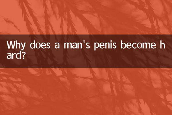 لماذا يصبح قضيب الرجل قاسيا؟