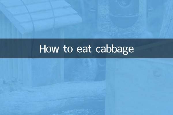 كيف تأكل الملفوف