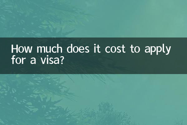 비자 신청 비용은 얼마입니까?