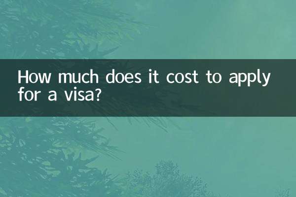 签证代办多少钱