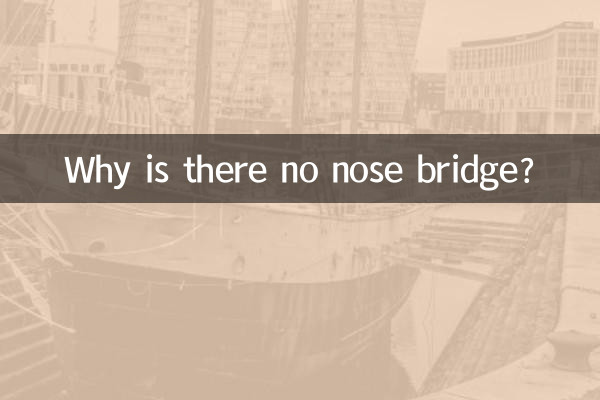 Por que não há ponte nasal?