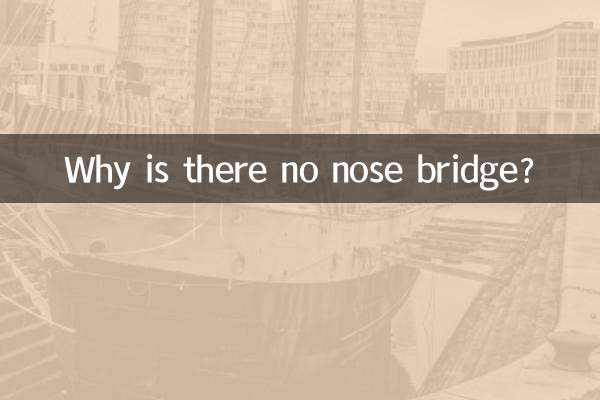 なぜ鼻梁がないのですか？