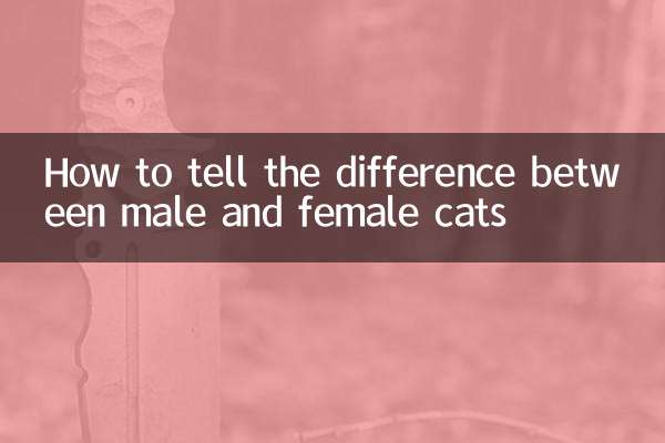 Cómo diferenciar entre gatos machos y hembras