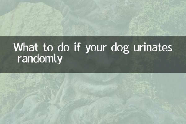 اگر آپ کا کتا تصادفی طور پر پیشاب کرتا ہے تو کیا کریں