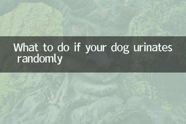 Cosa fare se il tuo cane urina in modo casuale