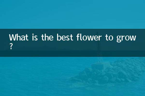 What is the best flower to grow?