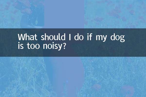 यदि मेरा कुत्ता बहुत शोर करता है तो मुझे क्या करना चाहिए?
