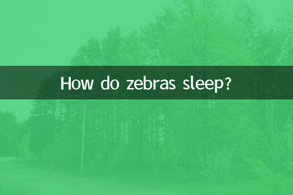 How do zebras sleep?