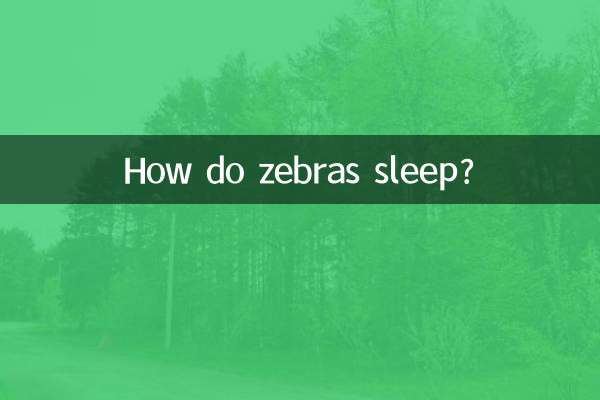 How do zebras sleep?