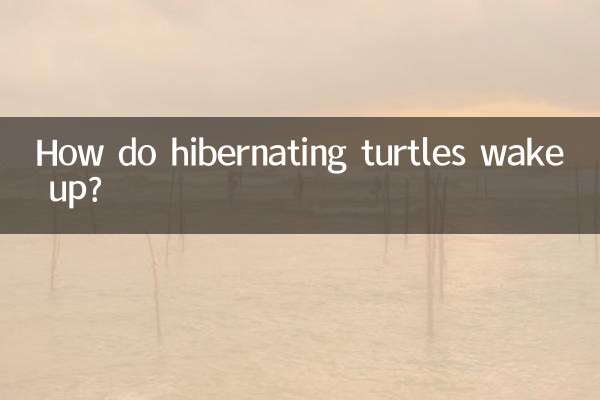How do hibernating turtles wake up?