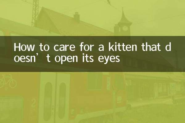 目が開かない子猫の世話の仕方