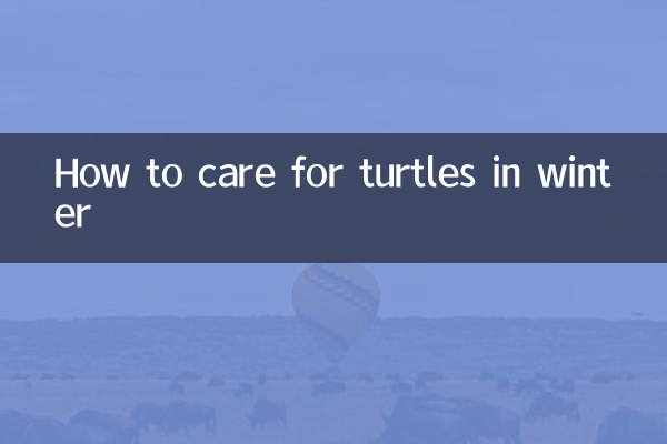 सर्दियों में कछुओं की देखभाल कैसे करें?