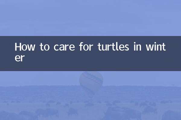 How to care for turtles in winter