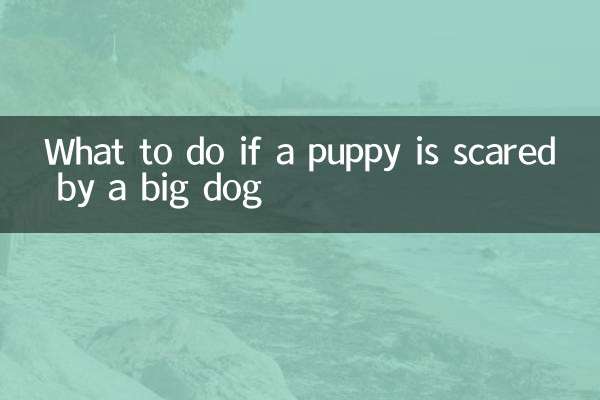 अगर एक पिल्ला बड़े कुत्ते से डर जाए तो क्या करें?