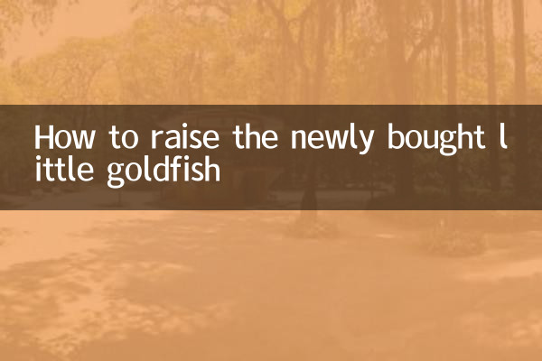 新しく買った小さな金魚の育て方