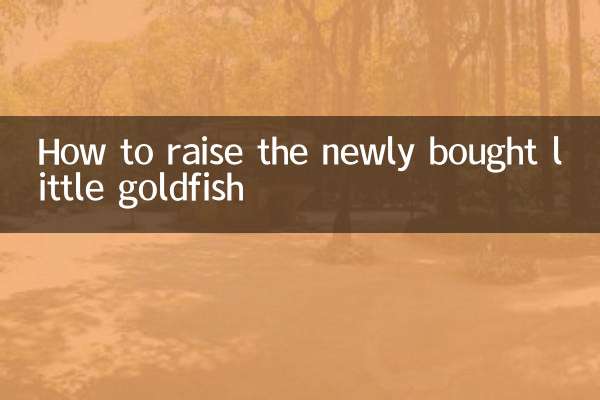 新しく買った小さな金魚の育て方